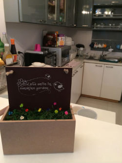ดอกสโนวี่(Snowy Flower) จิ๋วสุดน่ารัก รูปที่ 6