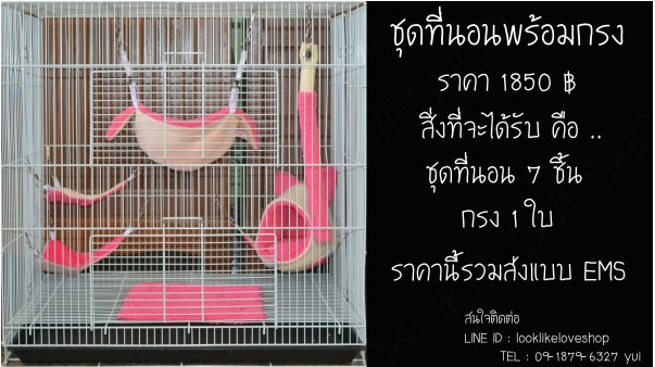 จำหน่ายที่นอนชูกร้าไกรเดอร์อุปกรณ์มากมาย รูปที่ 3