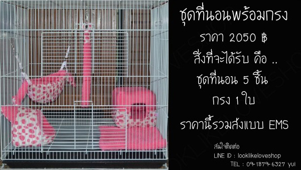 จำหน่ายที่นอนชูกร้าไกรเดอร์อุปกรณ์มากมาย รูปที่ 7