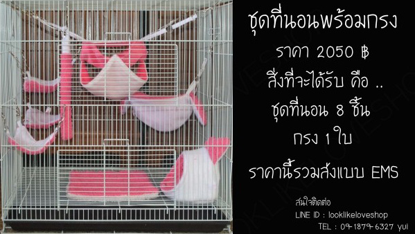 จำหน่ายที่นอนชูกร้าไกรเดอร์อุปกรณ์มากมาย รูปที่ 4