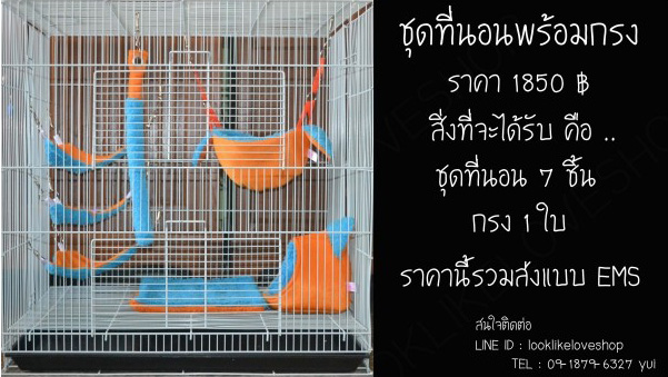 จำหน่ายที่นอนชูกร้าไกรเดอร์อุปกรณ์มากมาย รูปที่ 6
