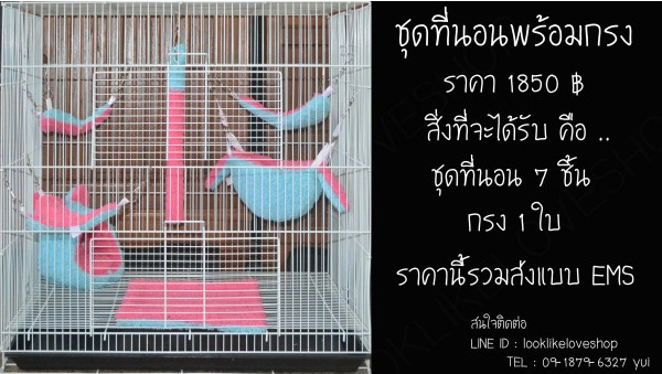 จำหน่ายที่นอนชูกร้าไกรเดอร์อุปกรณ์มากมาย รูปที่ 5