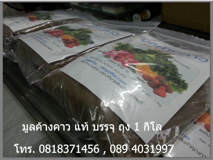 จำหน่าย มูลค้างคาวแท้ ขี้ค้างคาว มูลค้างคาว 100 % ปุ๋ยขี้ค้างคาว ราคาพิเศษ สัมปทานจากถ้ำในประเทศลาวโดยตรง รูปที่ 2