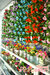 รูปย่อ PP Flowers ร้านดอกไม้ประดิษฐ์ จำหน่ายปลีก-ส่ง: ดอกไม้ประดิษฐ์ เกรดAAA หญ้าเทียม เถาวัลย์ ใบไม้-ดอกไม้ ชุดแจกันดอกไม้ประดิษฐ์ รูปที่6
