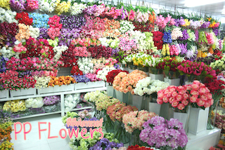 PP Flowers ร้านดอกไม้ประดิษฐ์ จำหน่ายปลีก-ส่ง: ดอกไม้ประดิษฐ์ เกรดAAA หญ้าเทียม เถาวัลย์ ใบไม้-ดอกไม้ ชุดแจกันดอกไม้ประดิษฐ์ รูปที่ 4