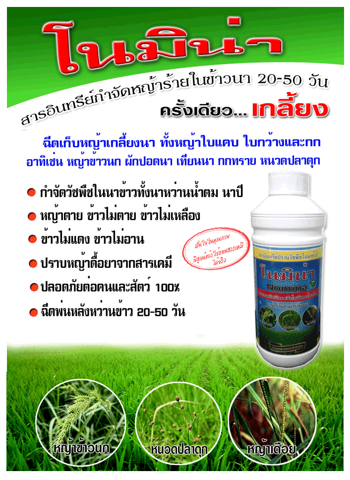 โนมิน่า ยาฆ่าหญ้าอินทรีย์ในนาข้าว รูปที่ 2