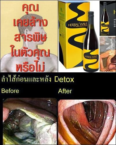 Herbal Wave ชุดล้างสารพิษ (Detox) ต้านอนุมูลอิสระ รูปที่ 3