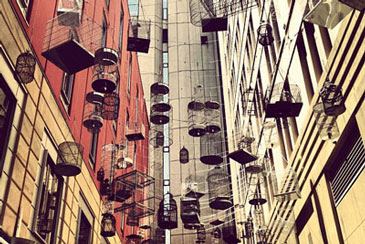 โปรโมชั่น เรียนภาษาที่ซิดนีย์ Sydney Australia รูปที่ 3