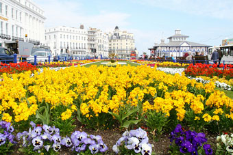 โปรโมชั่น เรียนภาษาเมือง Eastbourne เรียนภาษาที่ประเทศอังกฤษ รูปที่ 3