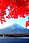 JAPAN-Happy pro on Sep-TYO-FUJI 5D3N Free1Day BY DM