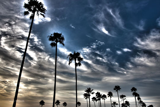 โปรโมชั่น เรียนภาษาอังกฤษที่ แคลิฟอร์เนีย San Diego อเมริกา รูปที่ 3