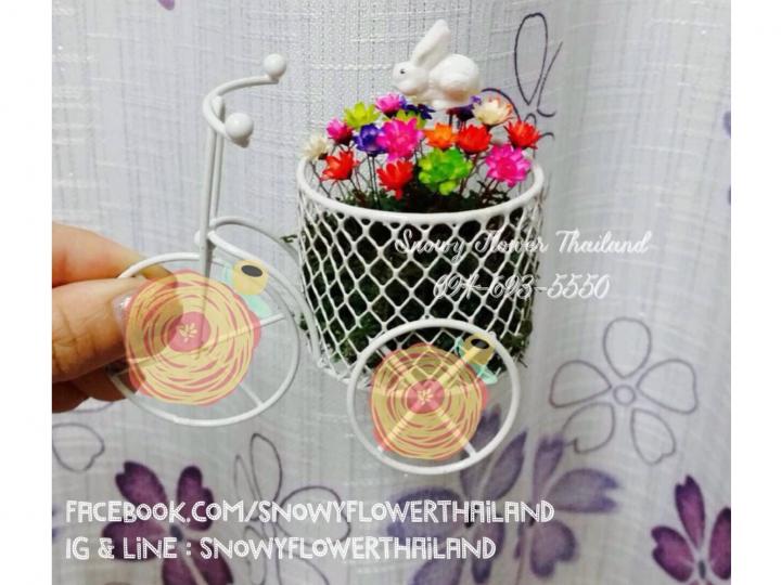 เปิดรับตัวแทนจำหน่าย Snowy Flower ดอกไม้จริงที่หุบ และบานได้เอง รูปที่ 2