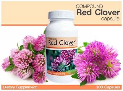 เรด โคลเวอร์ พลัส (Red Clover Plus) รูปที่ 2