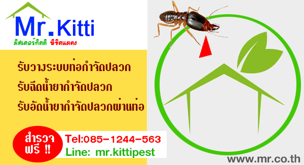 ยาปลวก ทุกพื้นที่ กทม ปริมลฑล และเขตพื้นที่ใกล้เคียง รูปที่ 1