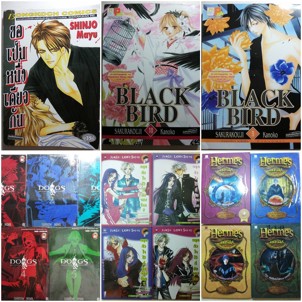 หนังสือ นิยาย การ์ตูน มากมาย  สภาพดี ราคาถูก สุดคุ้ม (ลด 30-50%) รูปที่ 6