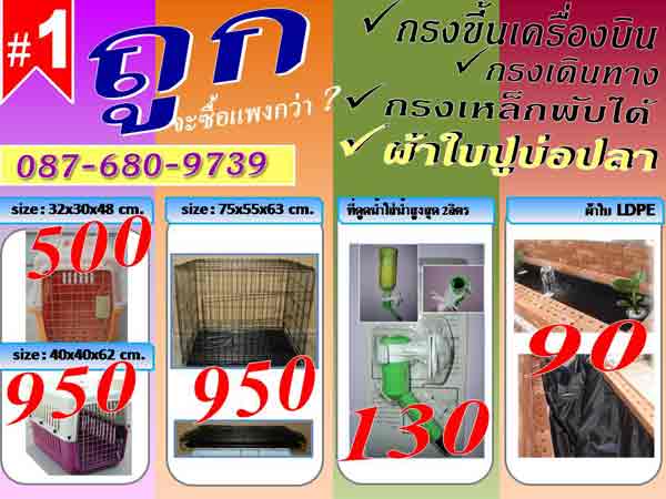บ่อผ้าใบ,บ่อพลาสติก,ผ้าใบบ่อปลา,ผ้าพลาสติก,ผ้ายางปูบ่อปลา,พลาสติกปูบ่อ,ปลาคราฟ,ปลาคราฟท์,ปลาทอง,ผ้าใบปูบ่อปลา,ผ้าใบรองบ่ รูปที่ 2