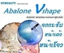 รูปย่อ Abalone v Shape รูปที่3