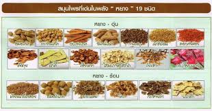 สมุนไพรปัญจะ ภูตะ รูปที่ 4