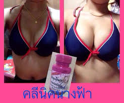 สมุนไพรนมแน่น รูปที่ 4