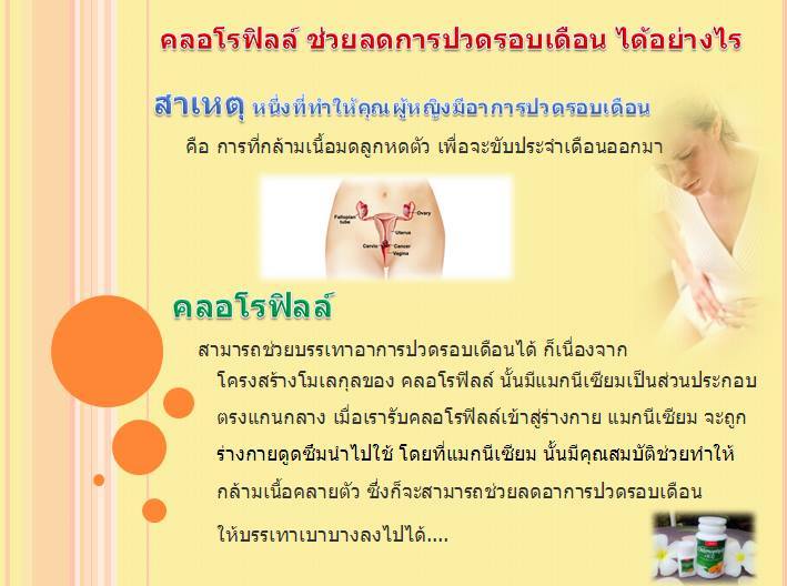 แฟรนไชส์น้ำคลอโรฟิลล์ รูปที่ 3