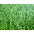 หญ้าเทียม สีสดอ่อนใบหญ้าขนาดเล็ก ตรม.ละ 350 บาท (DG-08838)