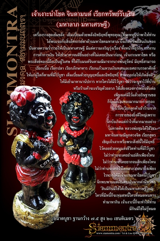 เจ้าเงาะนำโชค จินดามนต์ เรียกทรัพย์รับเงิน(มหาลาภ มหาเศรษฐี) รูปที่ 3