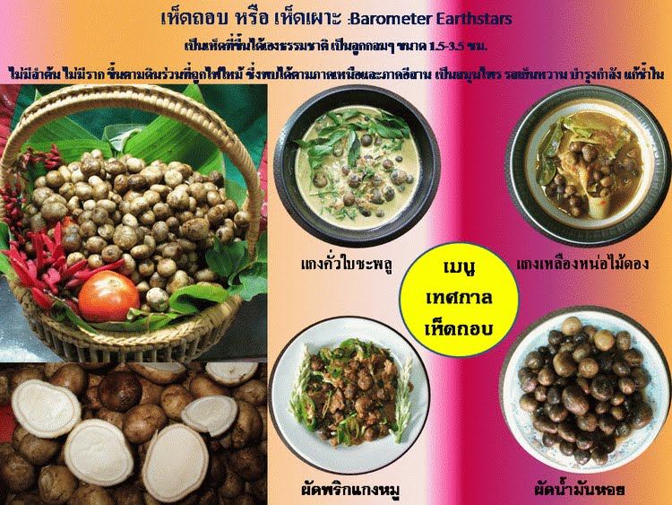 เห็ดเผาะ,ไข่มดแดง,แม่เป้ง บรรจุกระป๋อง รูปที่ 6