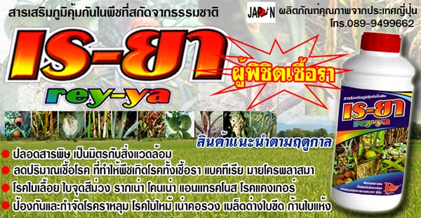 ยาฆ่าหญ้า ยาฆ่าวัชพืช สารเร่งและส่งเสริมการเจริงเติบโตของพืช ขายในราคาถูกและราคาส่ง รูปที่ 4