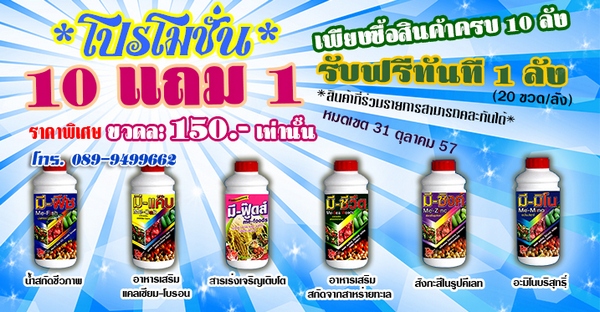 ยาฆ่าหญ้า ยาฆ่าวัชพืช สารเร่งและส่งเสริมการเจริงเติบโตของพืช ขายในราคาถูกและราคาส่ง รูปที่ 2