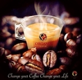 ธุรกิจกาแฟ Organo Gold กาแฟเพื่อสุขภาพผสมเห็ดหลินจือแดง