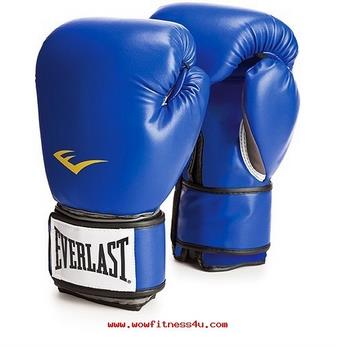 ST-73 EVERLAST Pro Style Training Boxing Gloves ถุงมือ นวมชกมวยไทยไซส์ 14 ออนซ์ รูปที่ 1