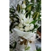 รูปย่อ ช่อกุหลาบขาว 15 ดอก+ดอกลิลลี่ 2 ดอก จัดช่อยาวอย่างสวยงาม รูปที่1