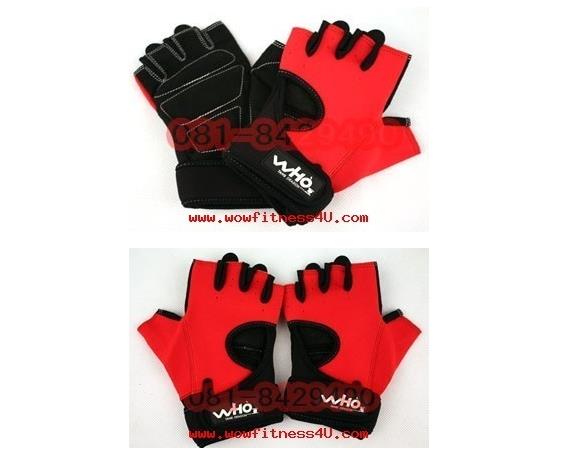 ถุงมือฟิตเนส fitness ถุงมือกีฬา ถุงมือยกเวท ยกน้ำหนัก Lifting Glove fitness(สินค้าหมดชั่วคราวค่ะ) รูปที่ 1