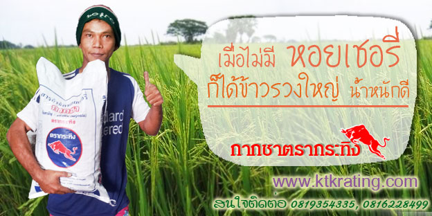 กากชา (ซาโปนิน) ตรากระทิง สำหรับ กำจัดหอยเชอรี่ในนาข้าว คุณภาพดี ราคาถูก รูปที่ 3