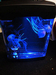 รูปย่อ โคมไฟแมงกระพรุน (Jellyfish Mood Lamp) รูปที่1