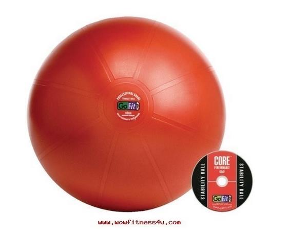 PR-490 Gofit 55Cm Pro Stability Ball (anti burst ball) รูปที่ 1