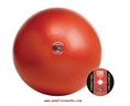 PR-490 Gofit 55Cm Pro Stability Ball (anti burst ball)