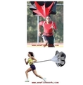 PR-520 GoFit Power Chute with Harness and Core Performance Training DVD