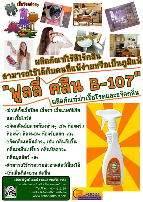 น้ำยาทำความสะอาด ฟูลลี่ คลีน รูปที่ 2
