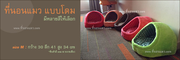 ที่นอนแมว รูปที่ 4