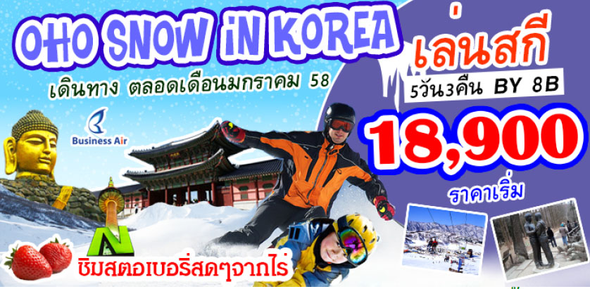 ไปเกาหลีราคาถูก รูปที่ 4
