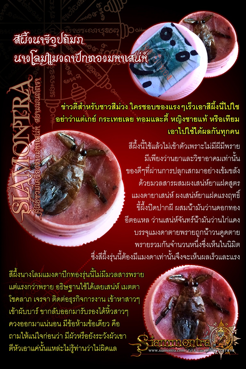 สีผึ้งนารีอุปถัมภ์ นางโลมแมงดาปีกทองมหาเสน่ห์ รูปที่ 3