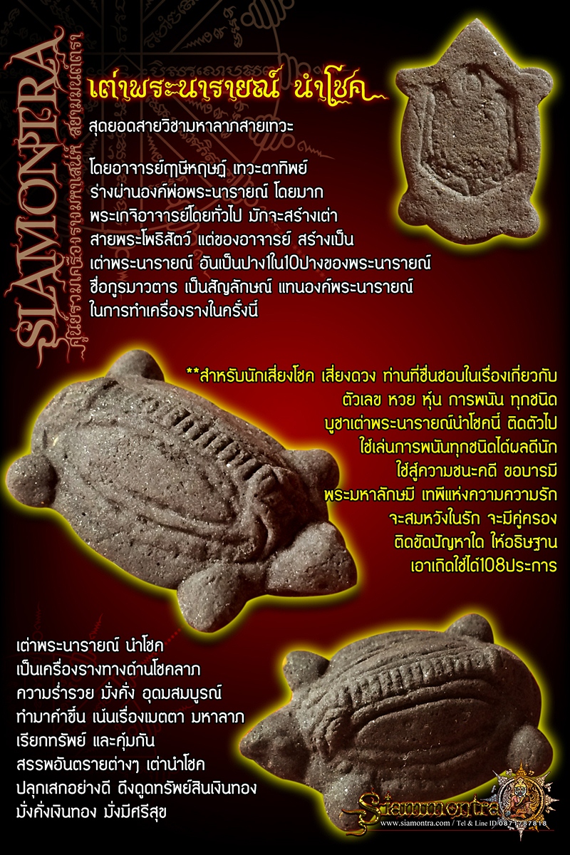 เต่าพระนารายณ์ นำโชค รูปที่ 3