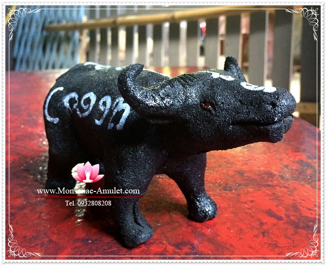 ควายธนูมูร่าห์ รูปที่ 5