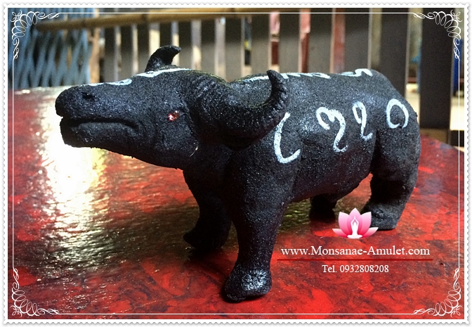 ควายธนูมูร่าห์ รูปที่ 4