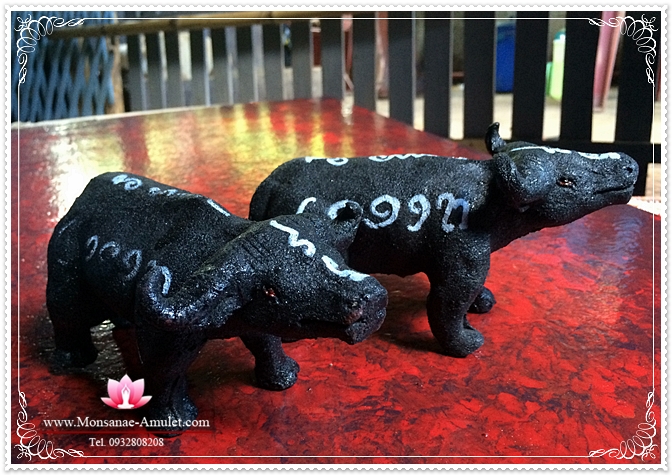 ควายธนูมูร่าห์ รูปที่ 3
