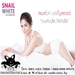 รูปย่อ Snail White Body Booster : สเนล ไวท์ บอดี้ บูสเตอร์ ฟื้นฟูผิวให้ขาวกระจ่างใส เต่งตึง กระชับ นุ่มชุ่มชื่นดีขนาดนี้ต้องลอง รูปที่6