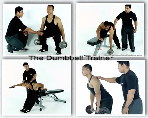 ขายโปรแกรม DVD: the Dumbbell trainer ฝึกเล่นกล้าม เล่นดัมเบล สอนโดยพี่ใหม่ แชมป์เพาะกาย รูปที่ 1