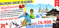 BLOWING SNOW IN KOREA