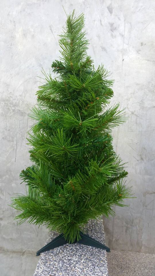 ลดราคา christmastree ร้านขายต้นคริสต์มาส ราคาถูกสุดๆ รูปที่ 3